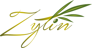 zytin-web-logo